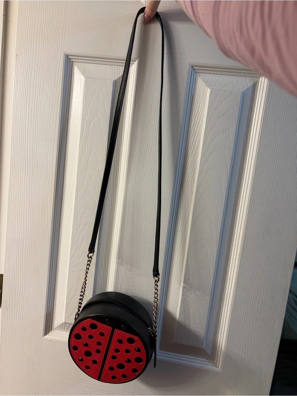 Kate Spade Red Ladybug Crossbody Bag - Women's Fashion